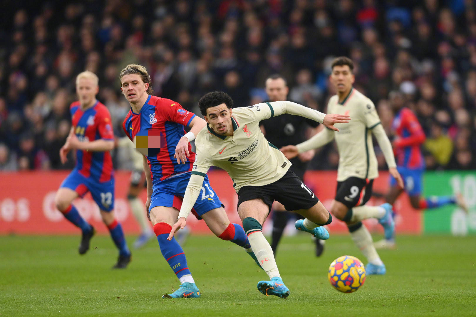 手的情况下 手的情况下